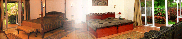 Falcon Tours and Travels