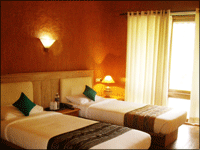 Falcon Tours and Travels