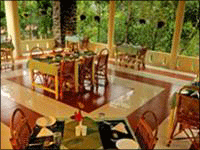 Falcon Tours and Travels