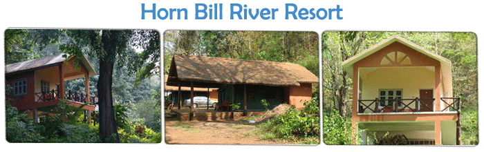 Eco Friendly Resorts