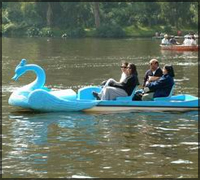 Lake Boating