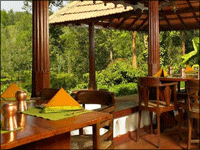 Falcon Tours and Travels