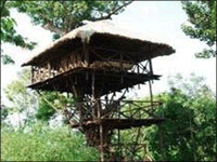 Falcon Tours and Travels
