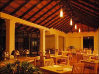 Falcon Tours and Travels