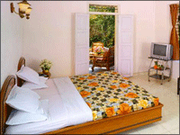 Falcon Tours and Travels