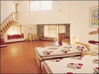 Falcon Tours and Travels