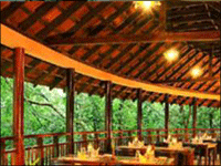 Falcon Tours and Travels