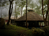 Falcon Tours and Travels